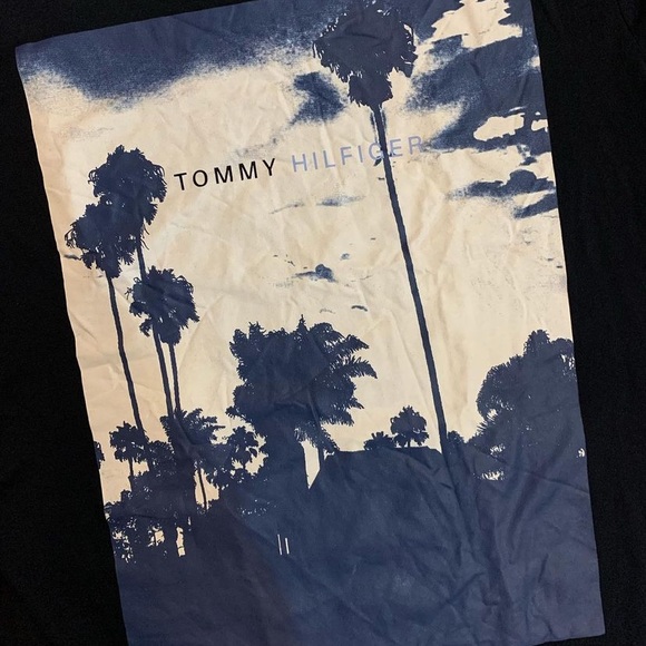 Tommy Hilfiger T-shirt-original tags removed delabelled.Size-S (38in upto 42) - Picture 3 of 5